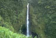 Big Island - Akaka Falls
